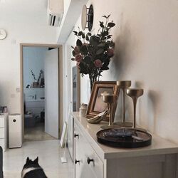 Stars Of Kovan (D19), Apartment #571193391